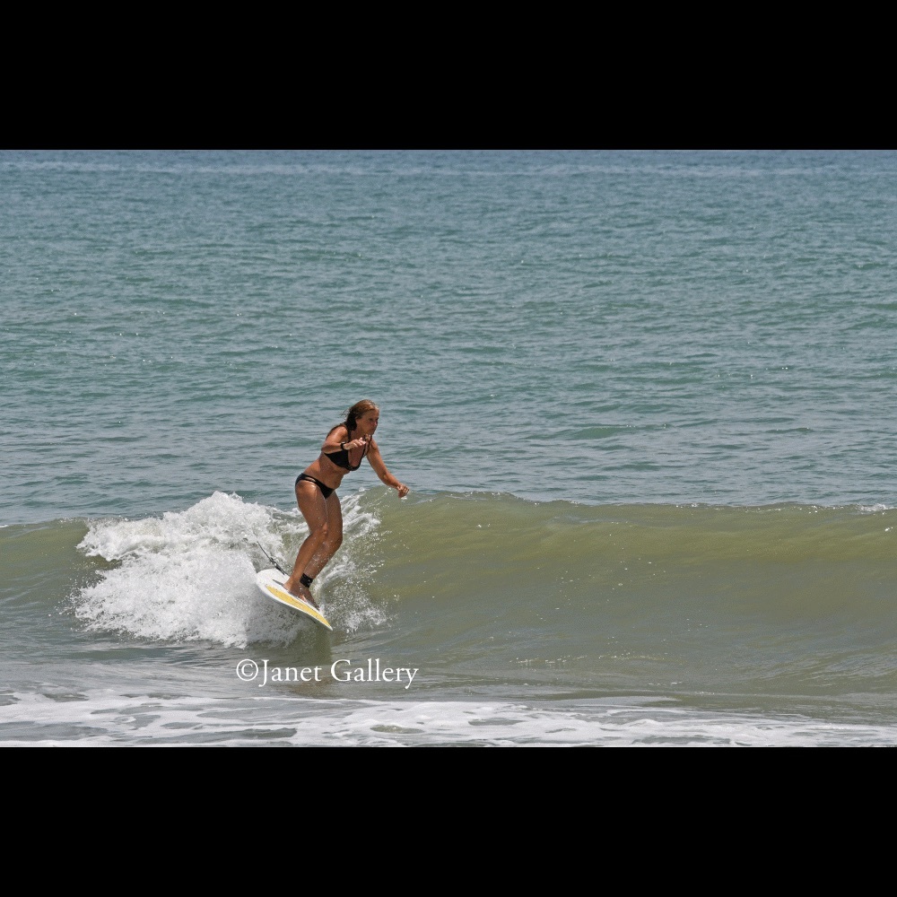 Meet your Posher, Anne